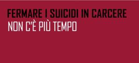 news_immagini_immagine_341.jpg